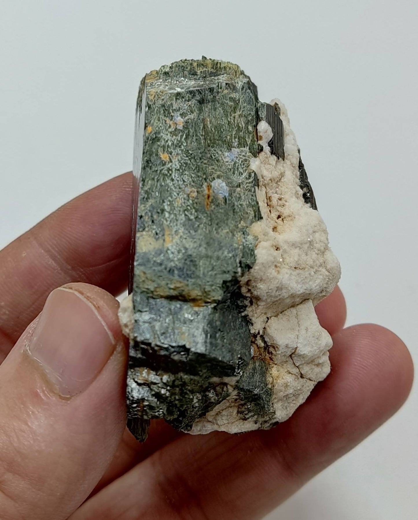 Single beautiful aesthetic terminated aegirine crystal specimen with Albite 140 grams