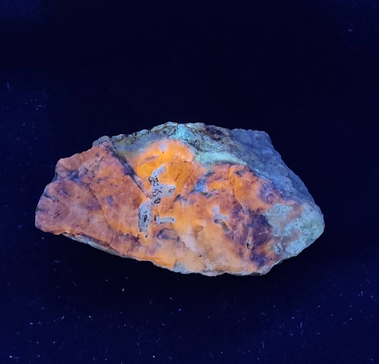 Amazing specimen of fluorescent Lazurite on matrix with pyrite 155 gra ...