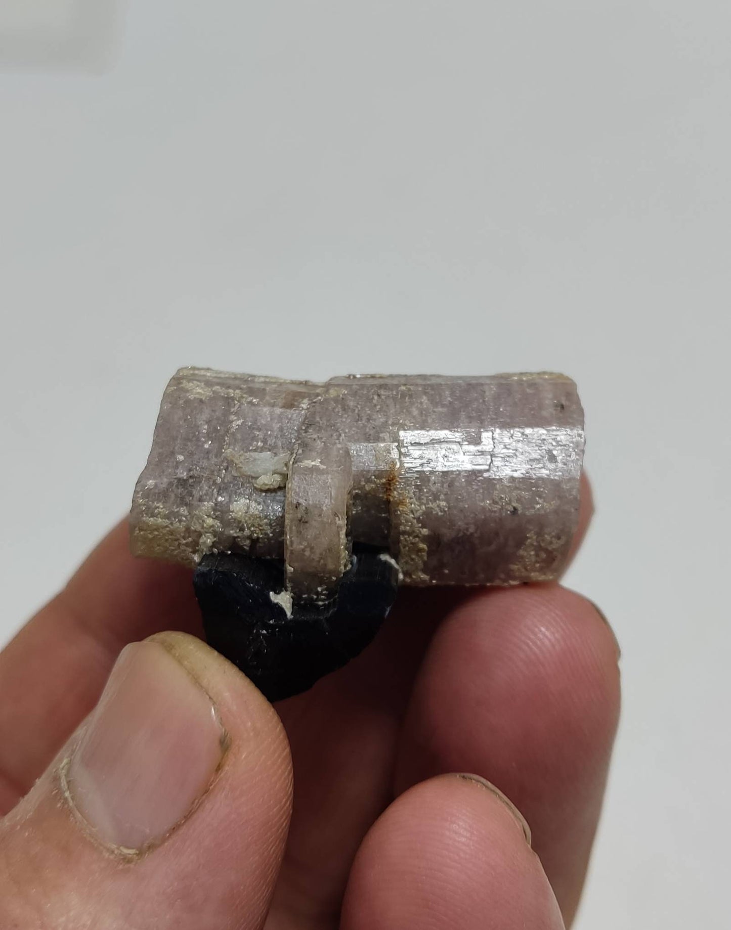 An amazing specimen of fluorescent light purple double terminated Apatite with terminated indicolite cap tourmaline 26.5 grams