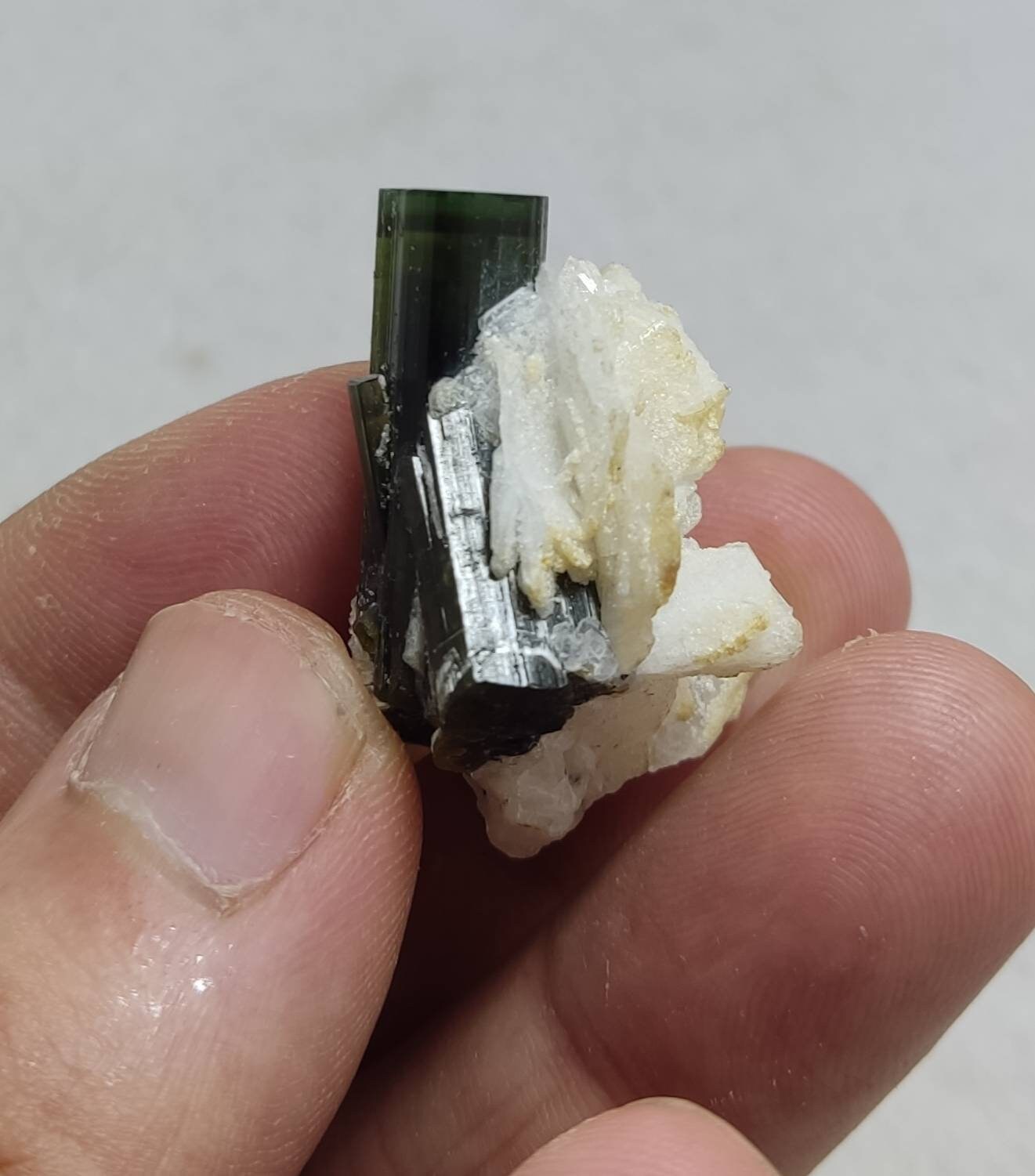 Green cap tourmaline crystal with cleavlandite 13 grams