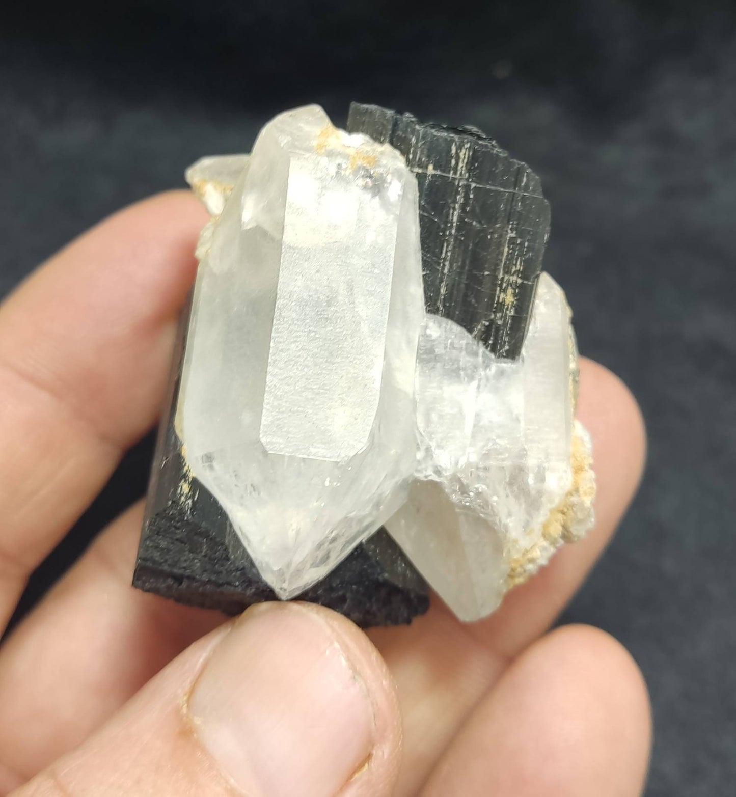 An Aesthetic Natural black Tourmaline crystal with terminated quartz crystals 85 grams