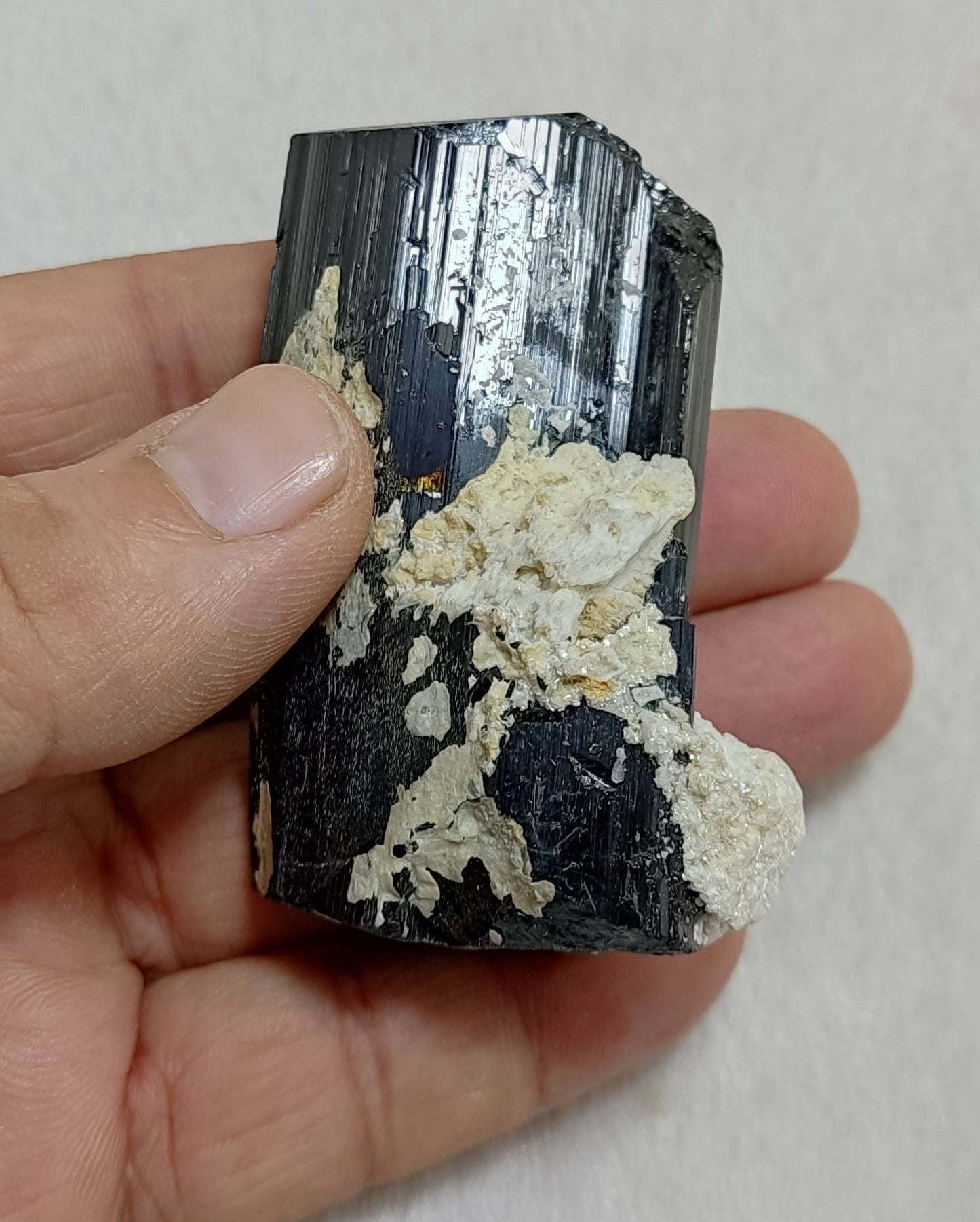 Black Tourmaline crystal with Albite attachment 144 grams