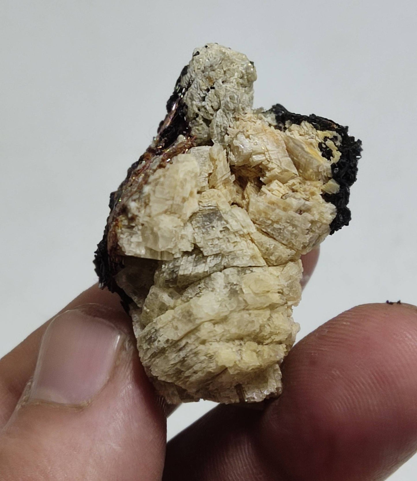 An amazing specimen of black tourmaline, siderite, and Rutile sagenite on matrix 29 grams