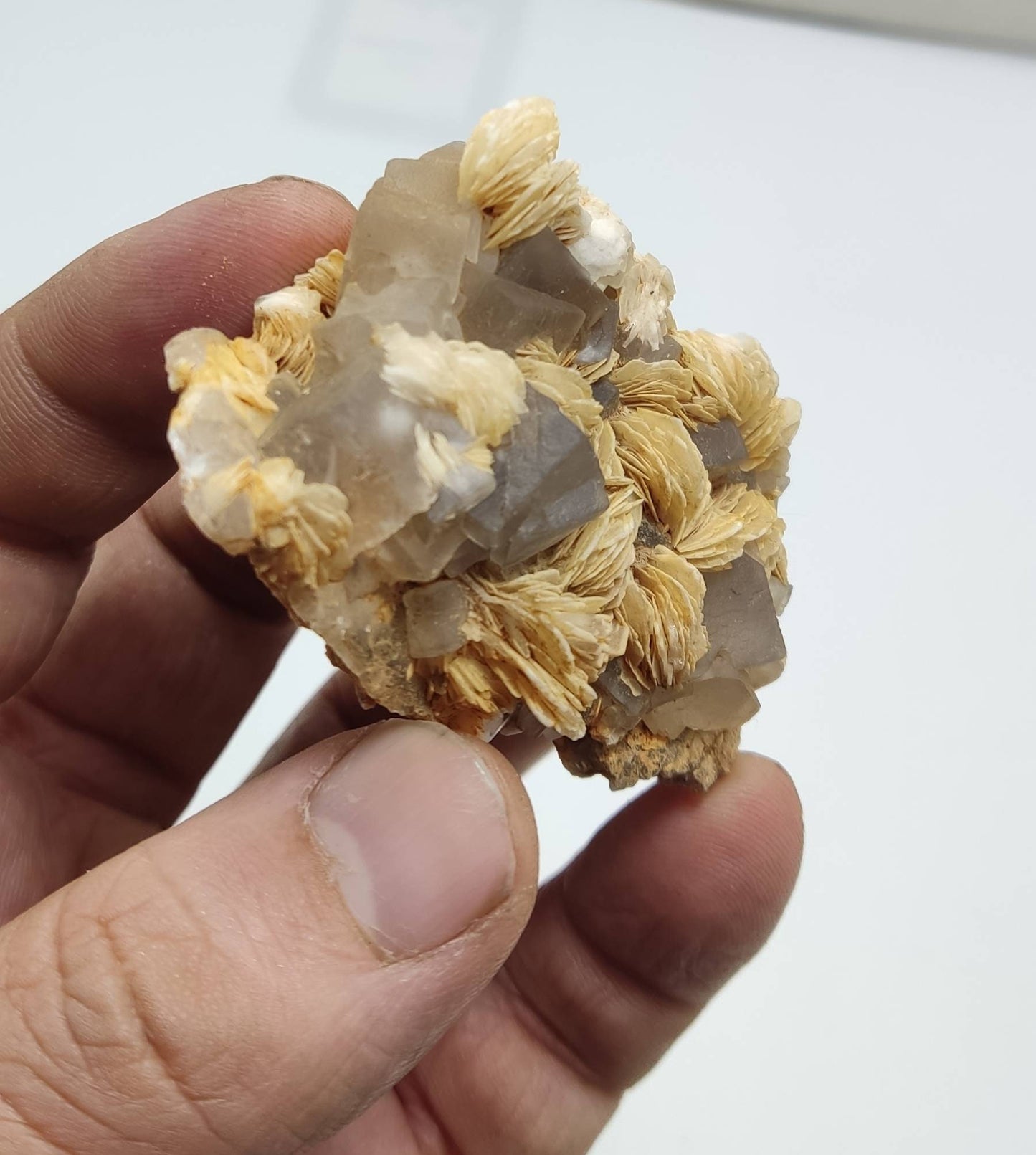 An amazing specimen of Barite with Fluorite 83 grams