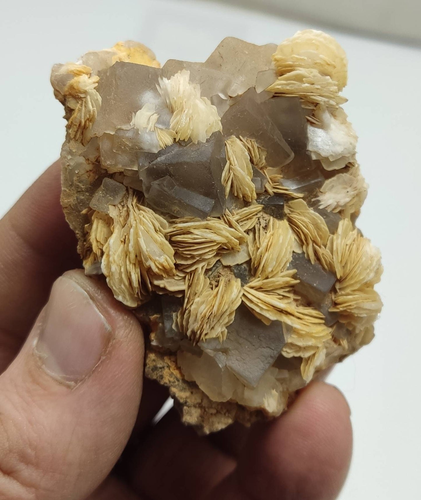 An amazing specimen of Barite with Fluorite 83 grams