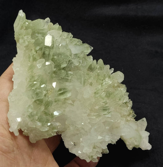 An Aesthetic Natural crystals cluster of beautifully terminated Chlorite Quartz 448 grams