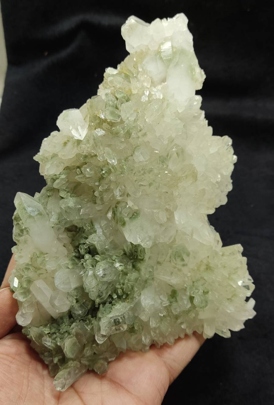 An Aesthetic Natural crystals cluster of beautifully terminated Chlorite Quartz 448 grams