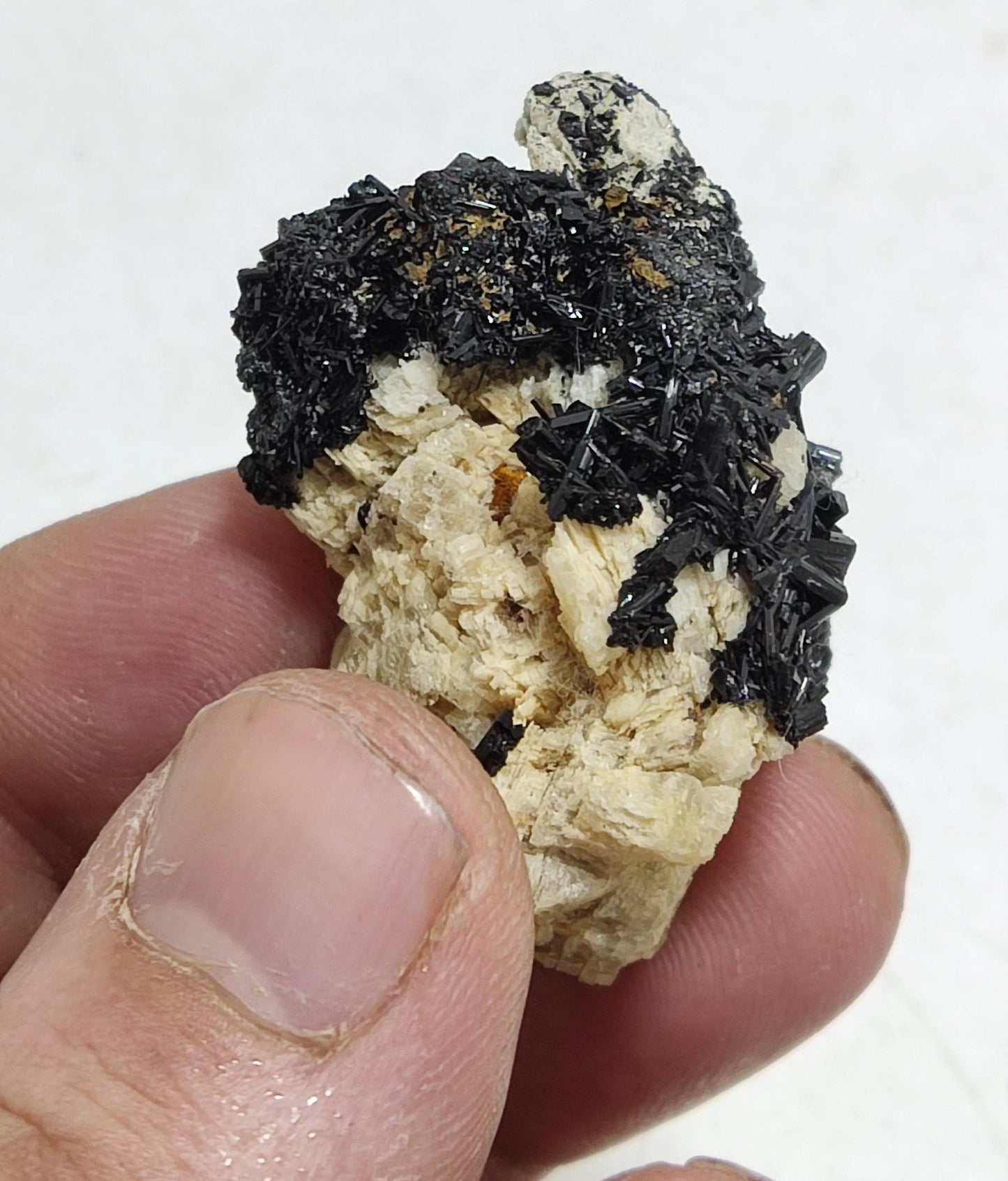An amazing specimen of black tourmaline, siderite, and Rutile sagenite on matrix 29 grams