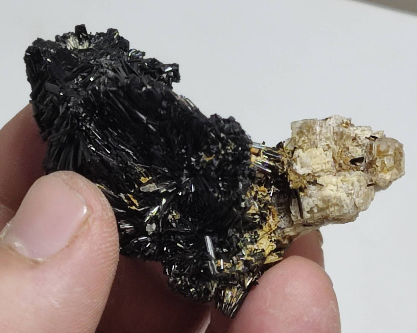 Black tourmaline crystals with siderite 51 grams