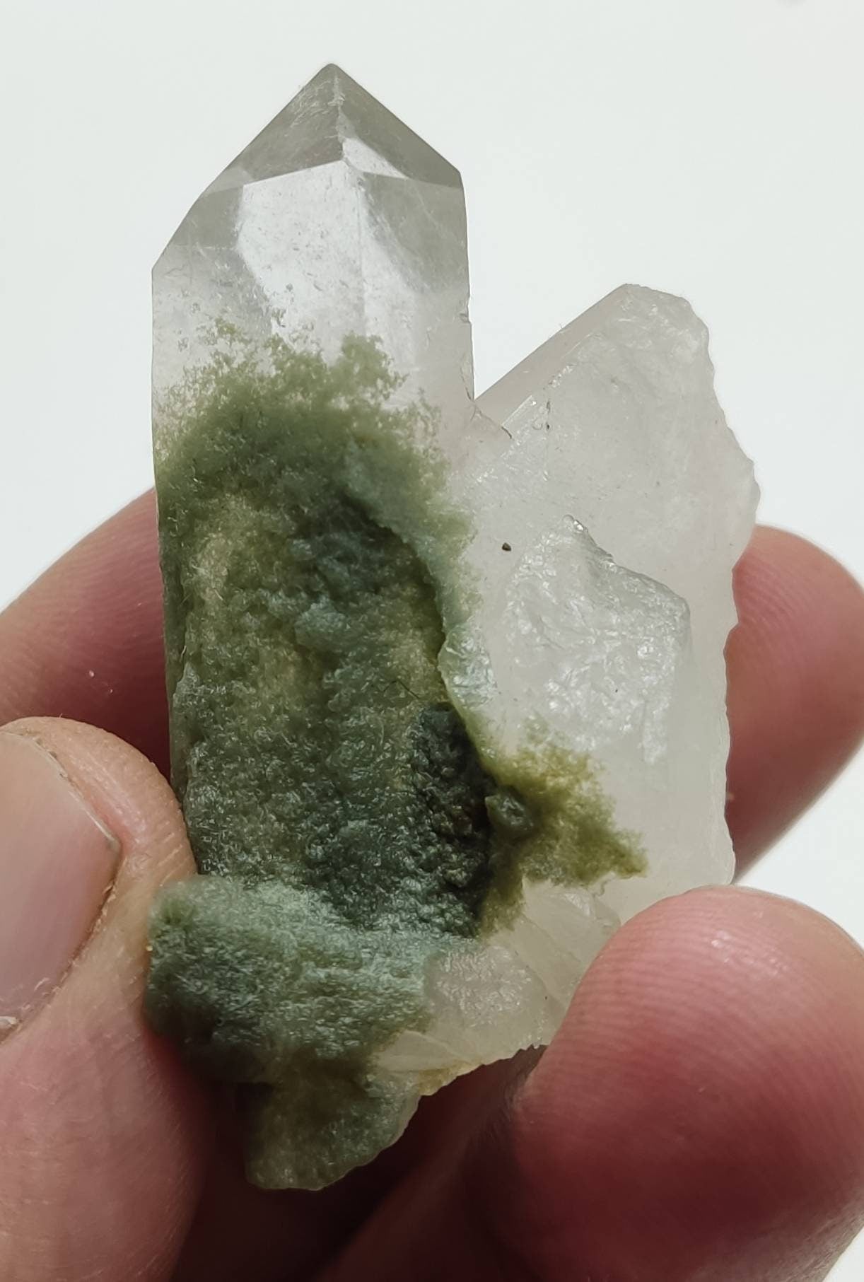 Terminated Chlorite Quartz 43 grams