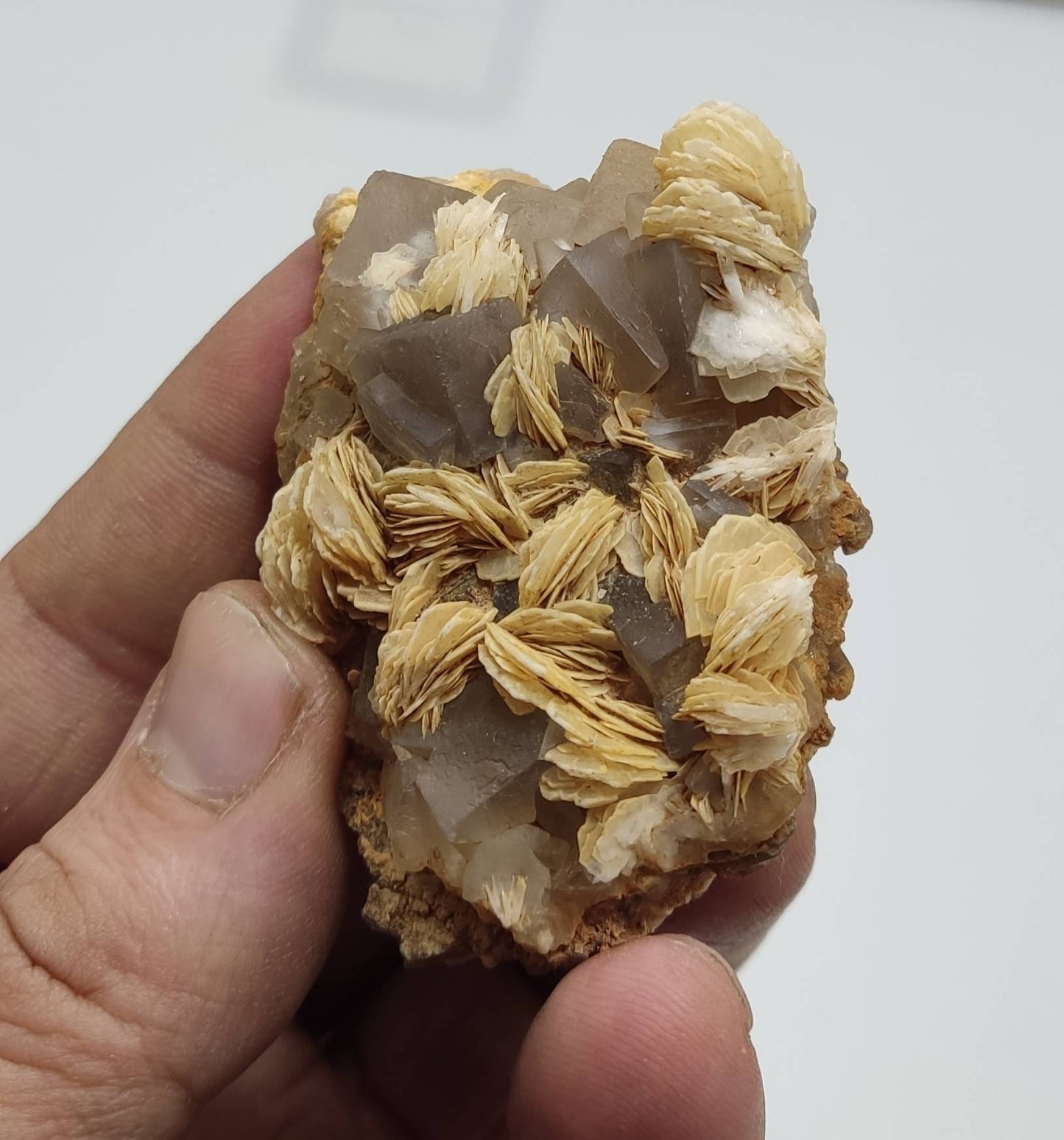 An amazing specimen of Barite with Fluorite 83 grams