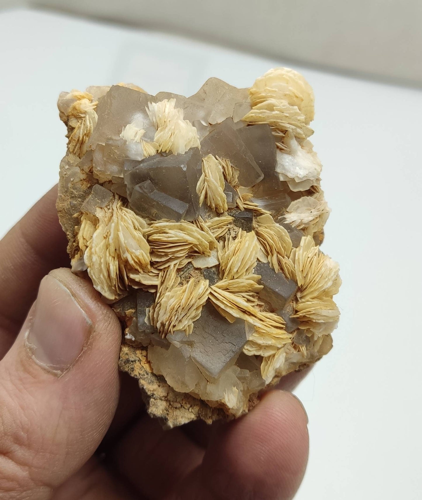 An amazing specimen of Barite with Fluorite 83 grams