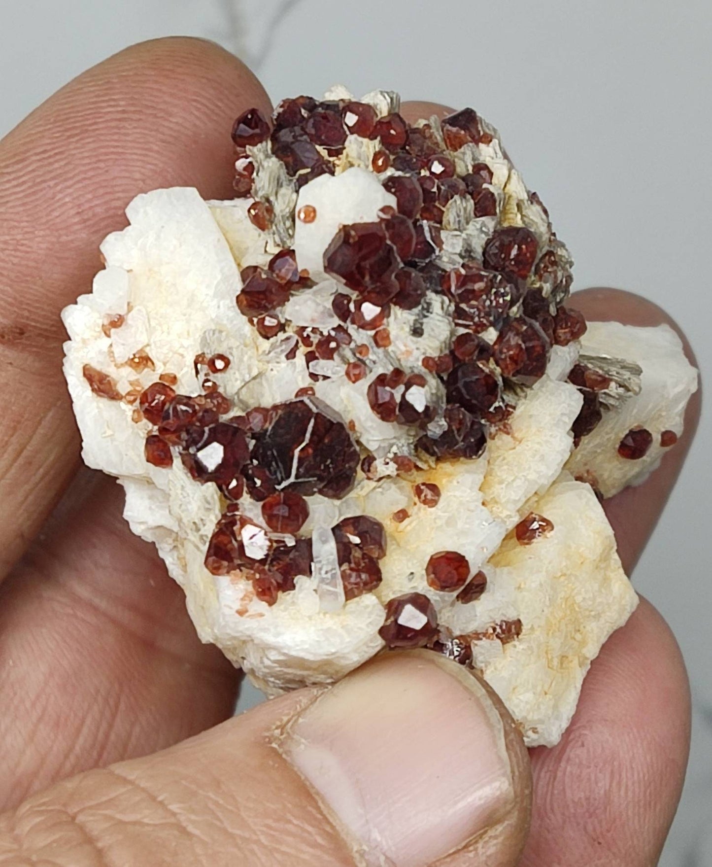 Single beautiful Spessartine Garnet clusters on Albite with associated Muscovite 71 grams