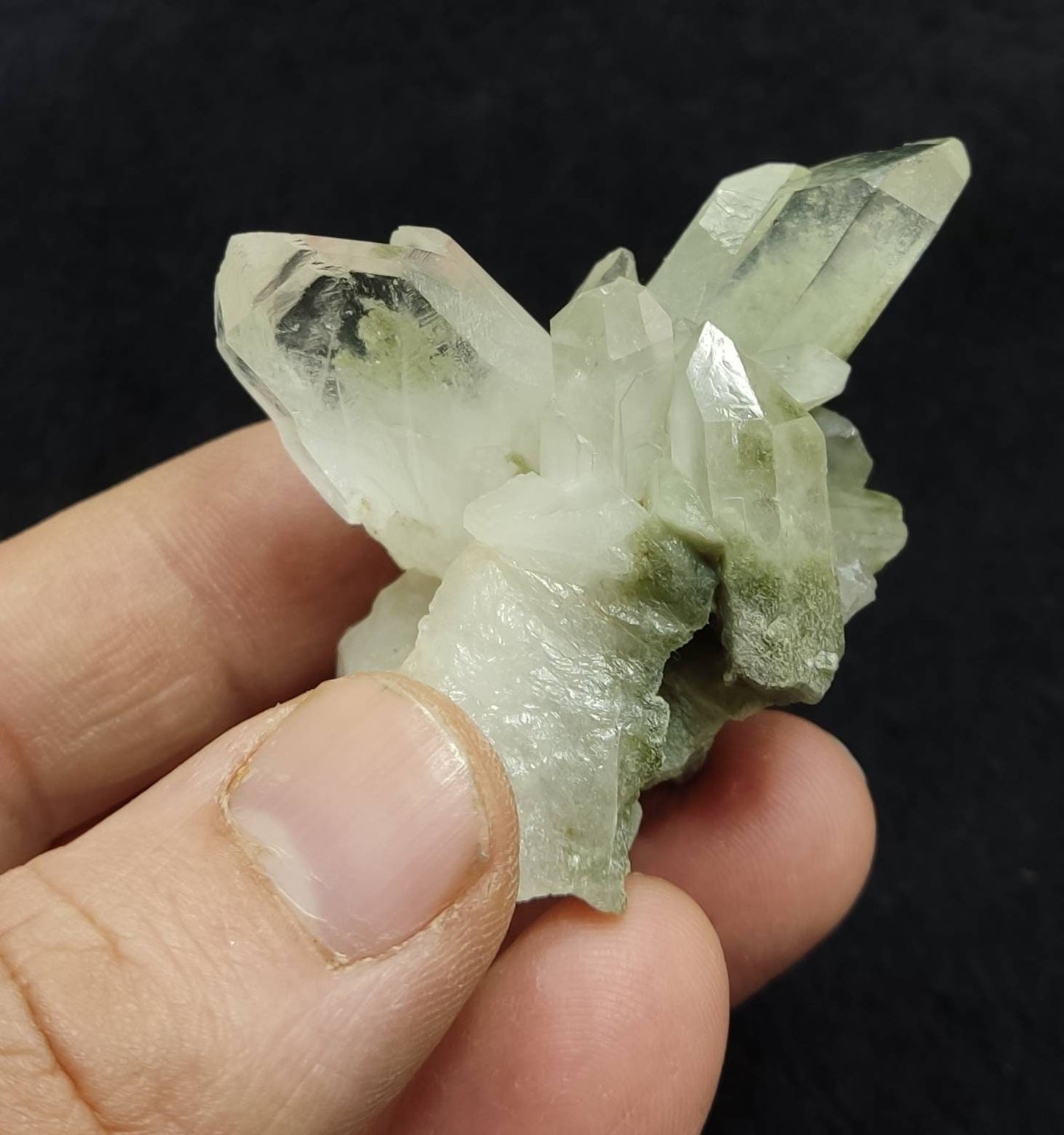 An Aesthetic Natural crystals cluster of beautifully terminated Chlorite Quartz 59 grams