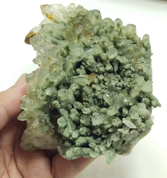 An Aesthetic Natural crystals cluster of beautifully terminated Chlorite Quartz 573 grams
