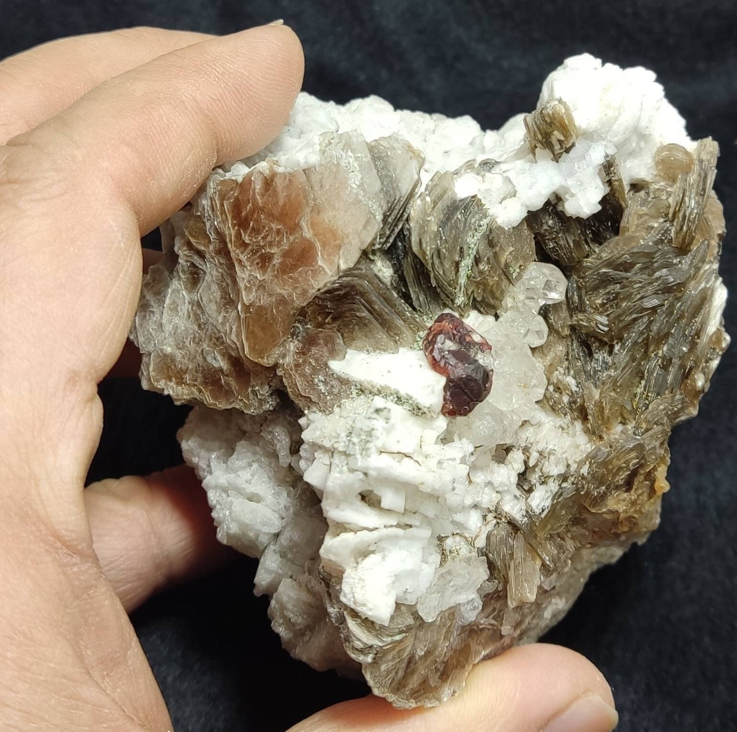 An amazing aesthetic specimen of spessartine garnet embedded in muscovite, with albite and quartz 544 grams