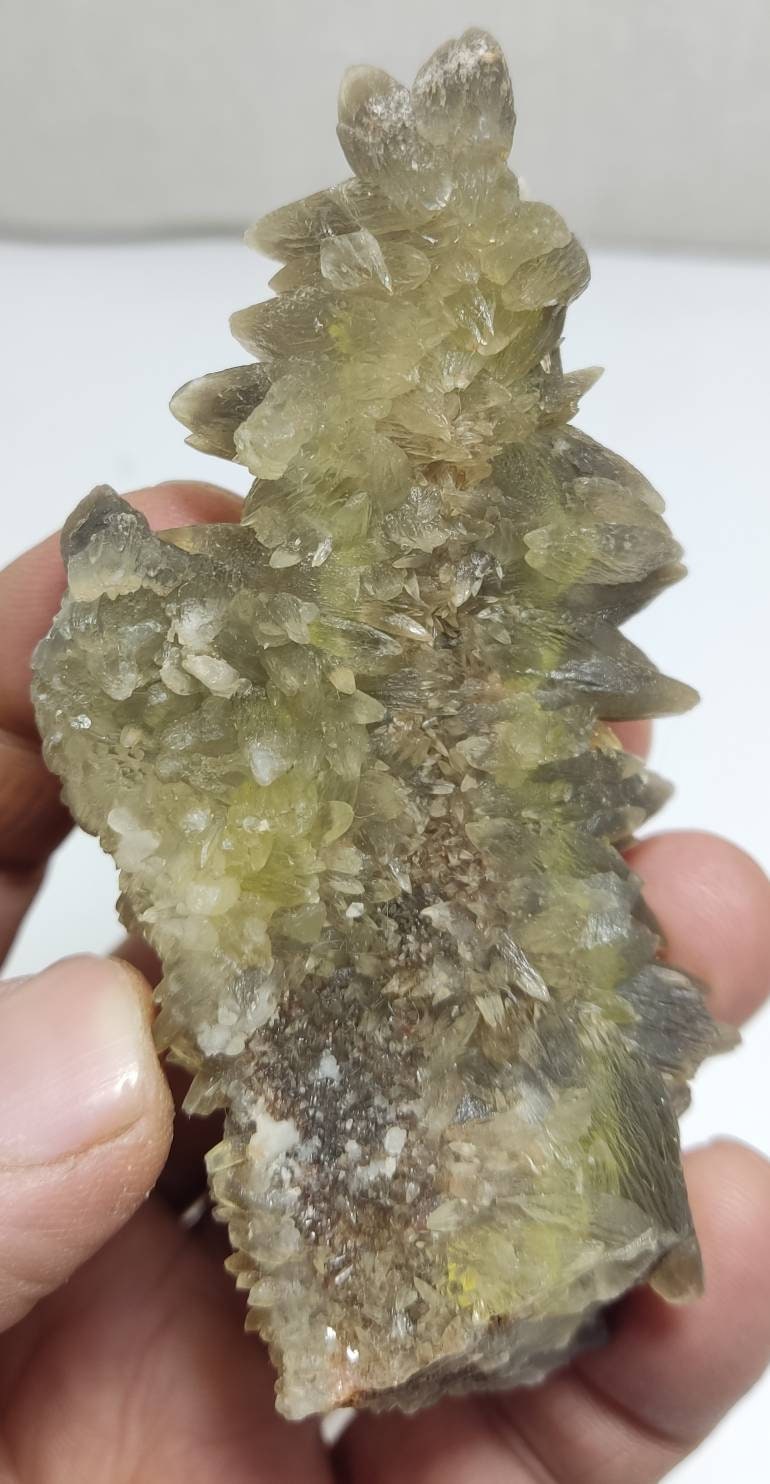 Single beautiful Dogteeth calcite crystals cluster 111 grams