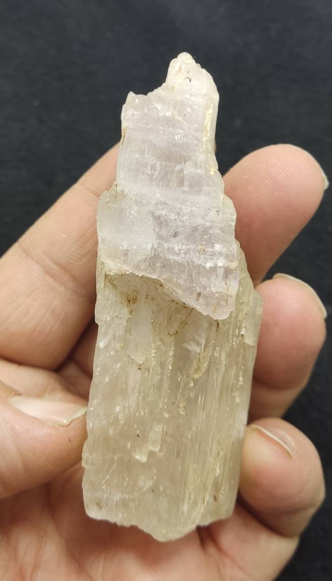 An amazing specimen of Bicolor terminated spodumene crystal 157 grams