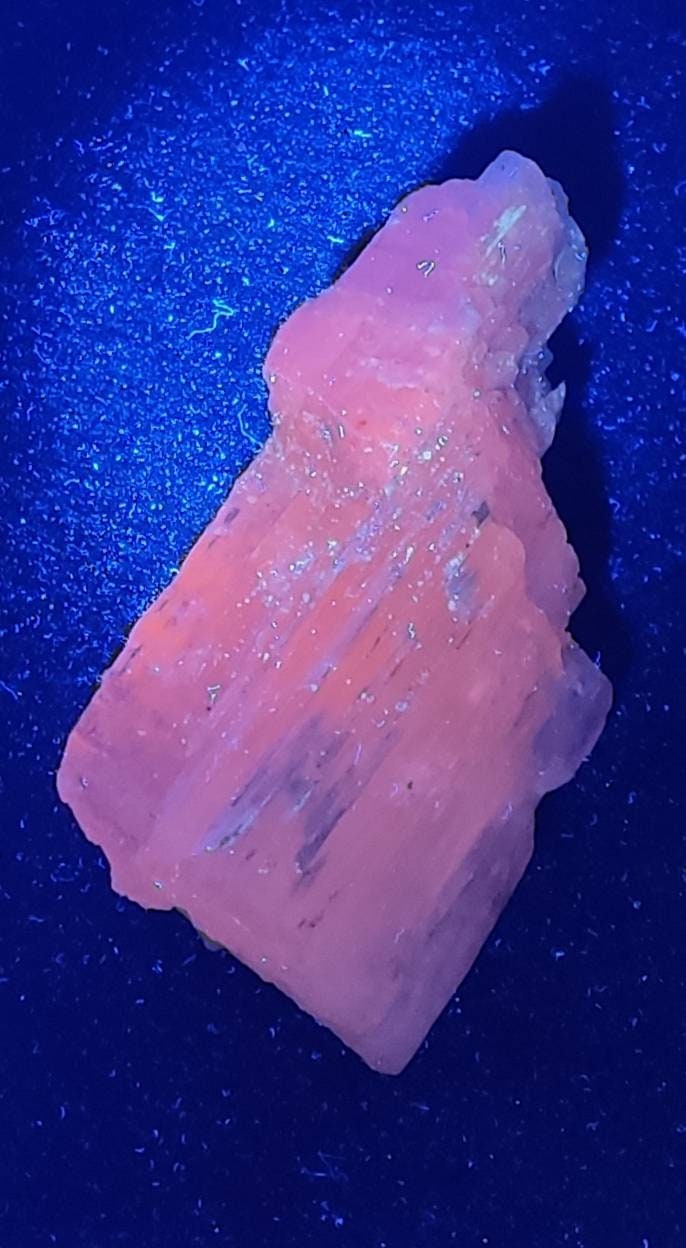An amazing specimen of Bicolor terminated spodumene crystal 157 grams
