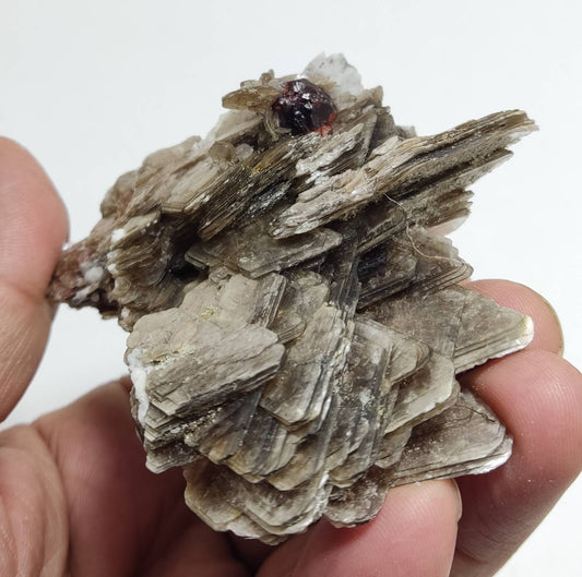 spessartine garnet embedded in muscovite with albite 152 grams