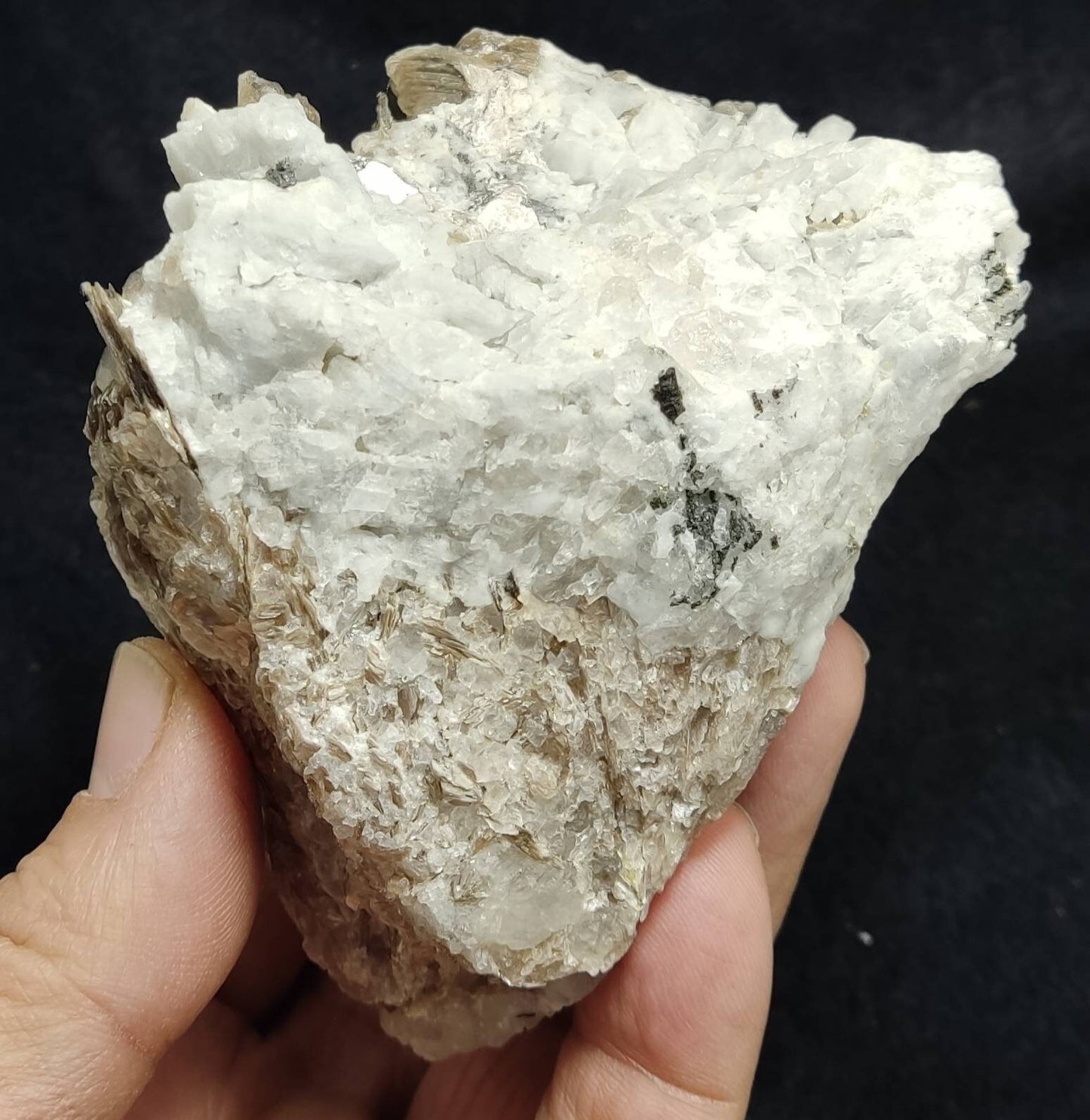 An amazing aesthetic specimen of spessartine garnet embedded in muscovite, with albite and quartz 544 grams