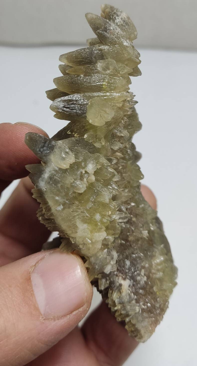 Single beautiful Dogteeth calcite crystals cluster 111 grams