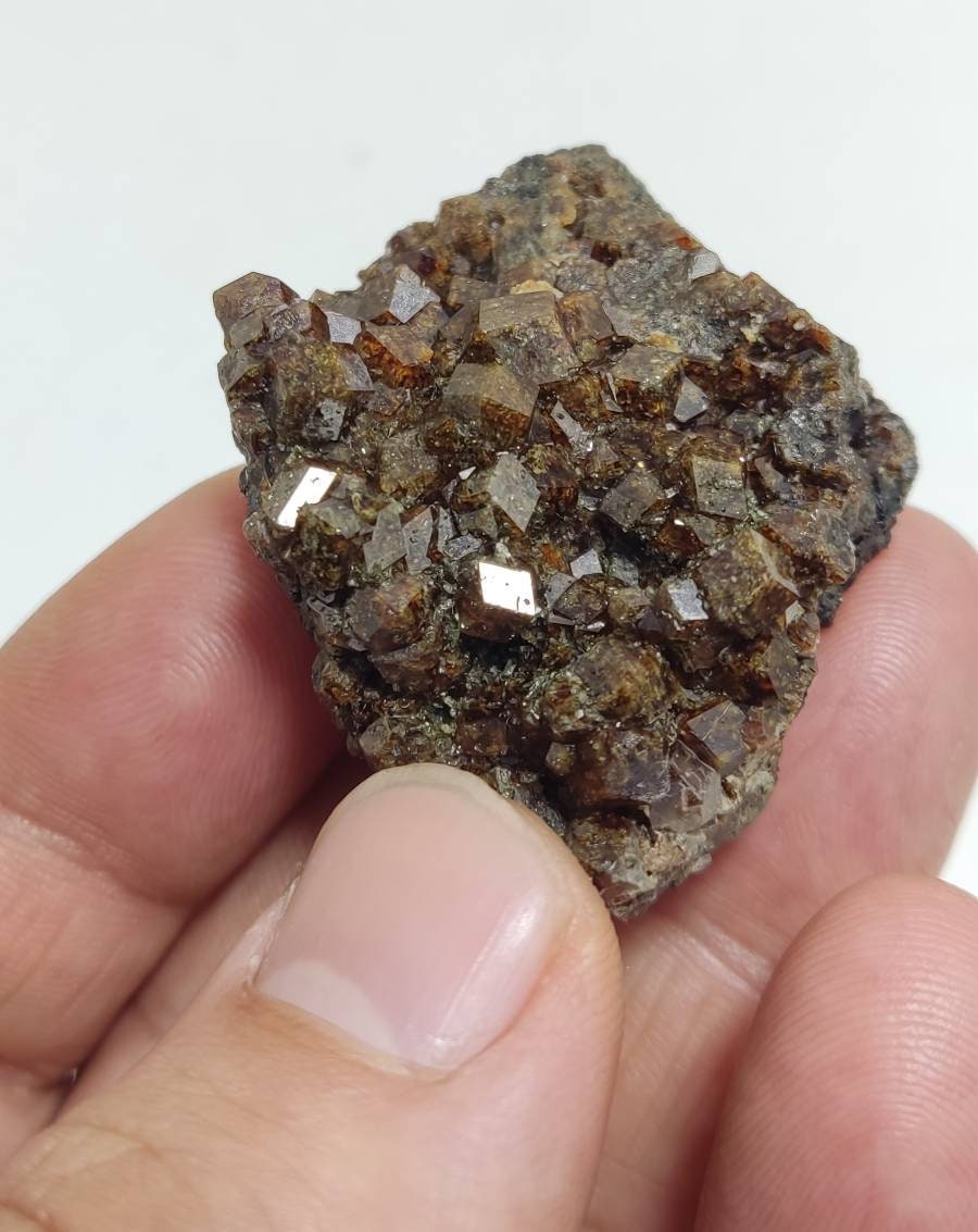 Single beautiful Garnet variety andradite clusters specimen 46 grams