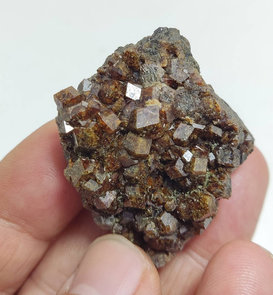 Single beautiful Garnet variety andradite clusters specimen 46 grams