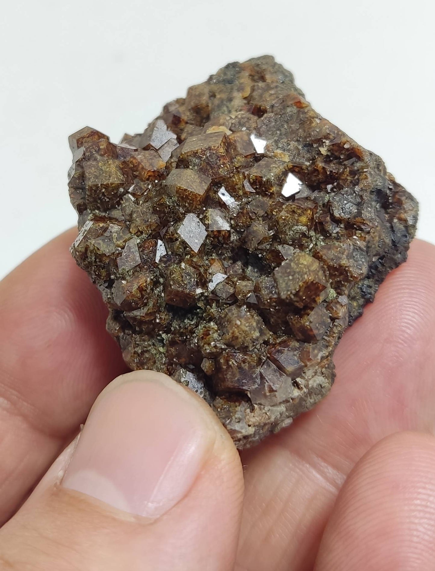 Single beautiful Garnet variety andradite clusters specimen 46 grams