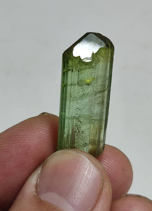 Single amazing green color terminated Tourmaline crystal 6 grams