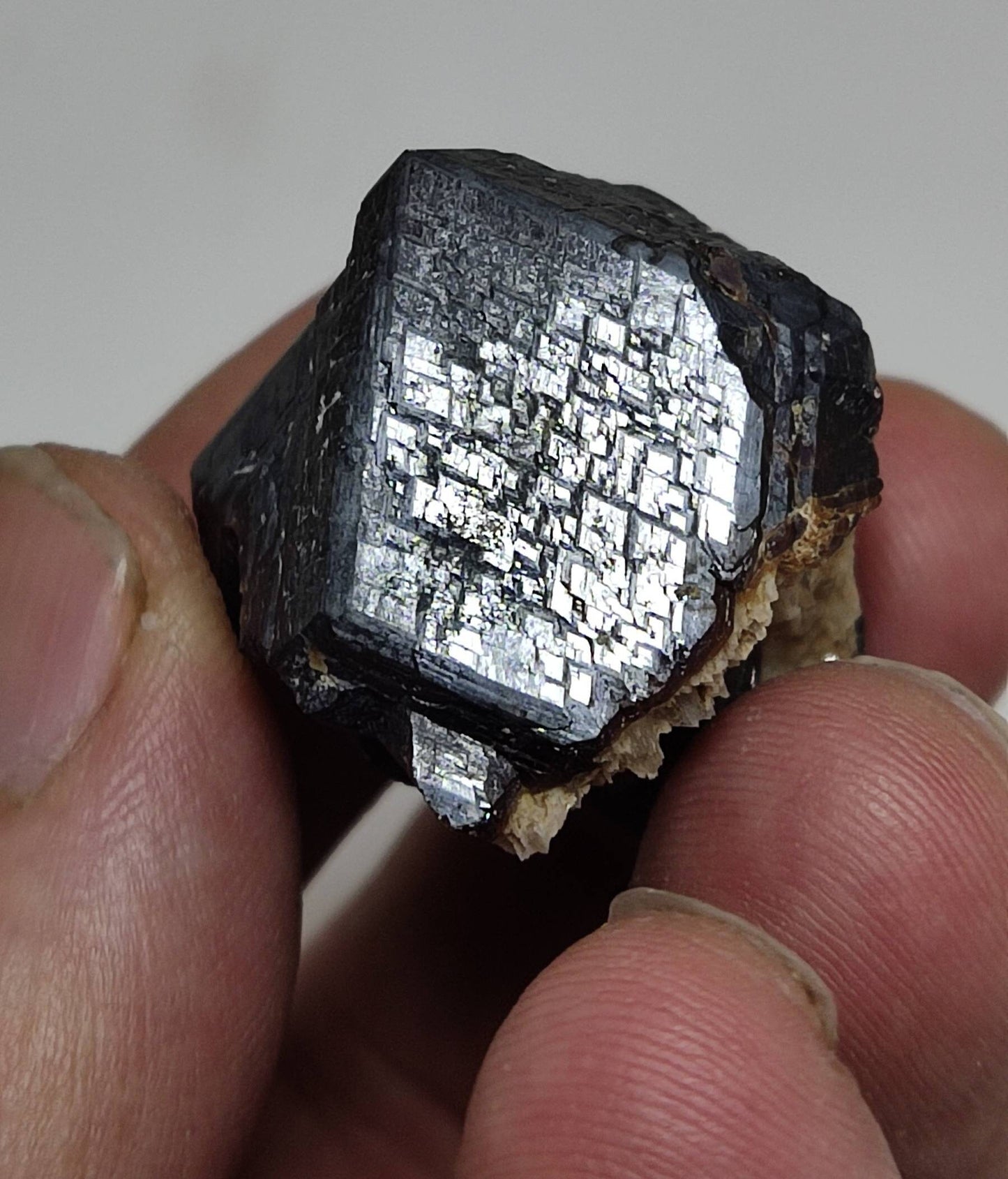 Single beautiful Garnet variety andradite specimen 45 grams