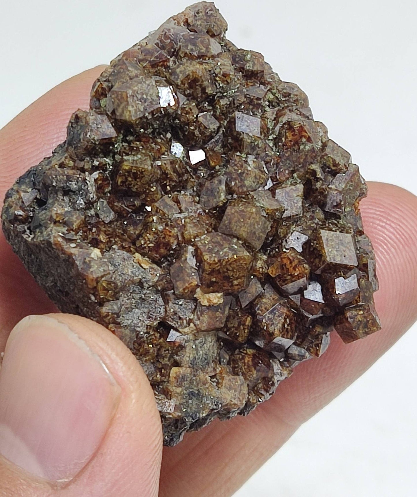 Single beautiful Garnet variety andradite clusters specimen 46 grams