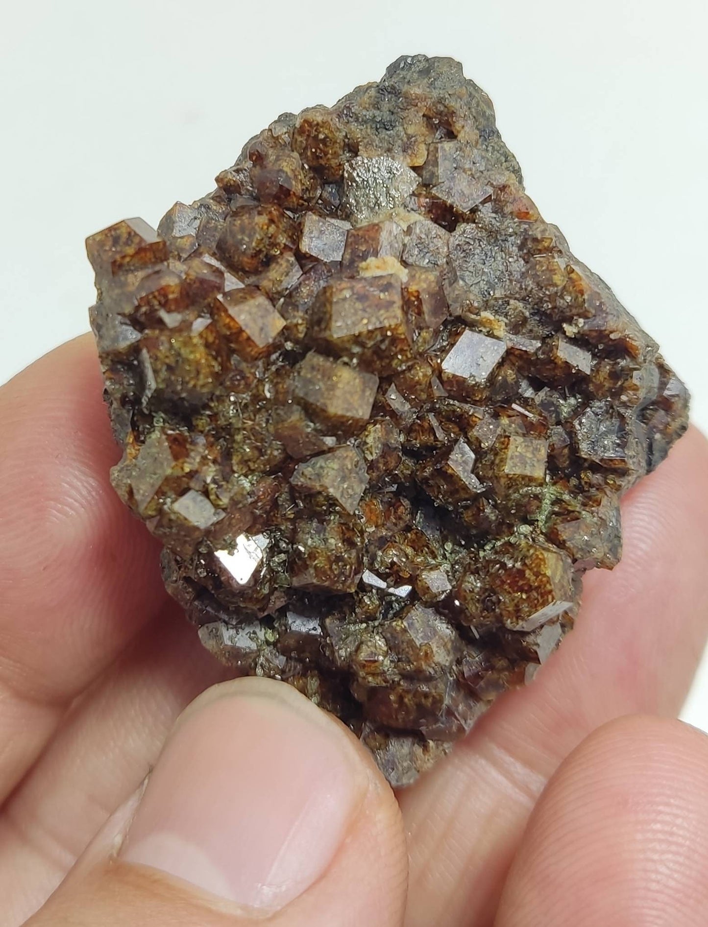 Single beautiful Garnet variety andradite clusters specimen 46 grams