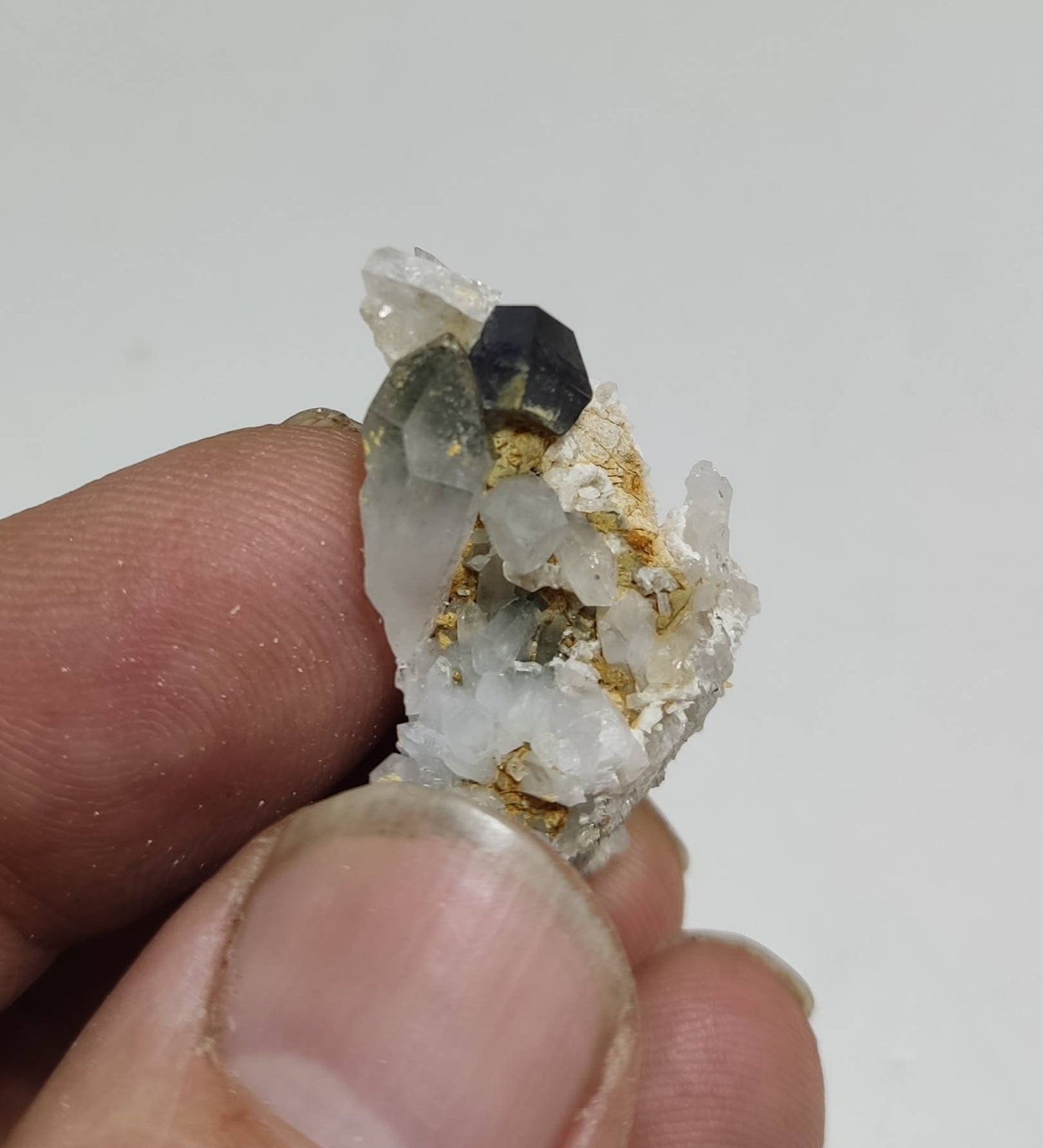 Thumbnail specimen of Anatase Crystal with chlorite quartz on matrix 8 grams