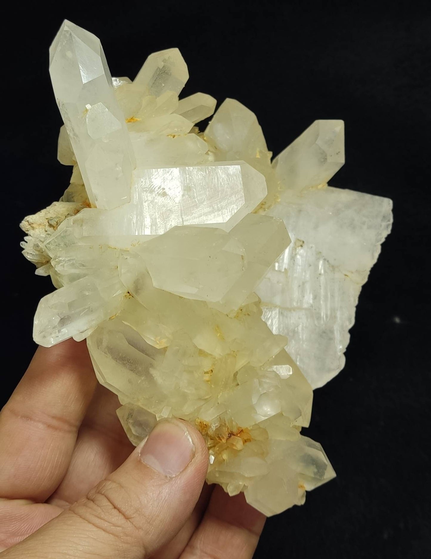 An amazing specimen terminated quartz crystals with faden and chlorite inclusions 639 grams