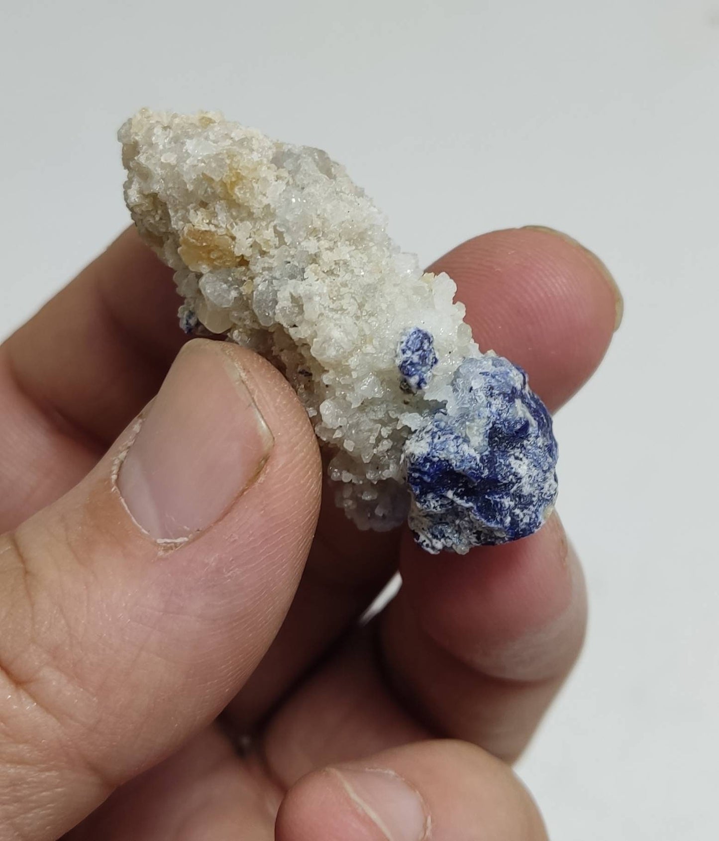 Amazing single Lazurite specimen on matrix 25 grams