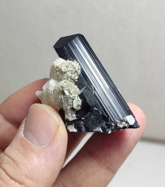 Natural black Tourmaline crystal on matrix with feldspar and muscovite 46 grams