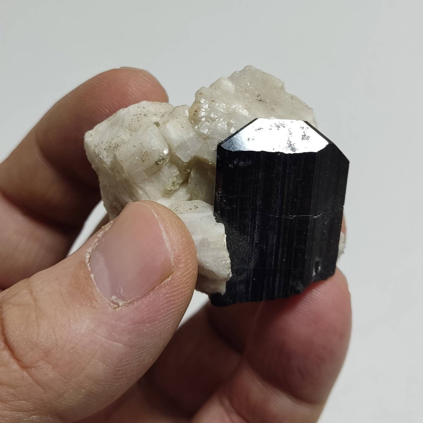 An Aesthetic Natural black Tourmaline crystal on matrix with albite 51 grams