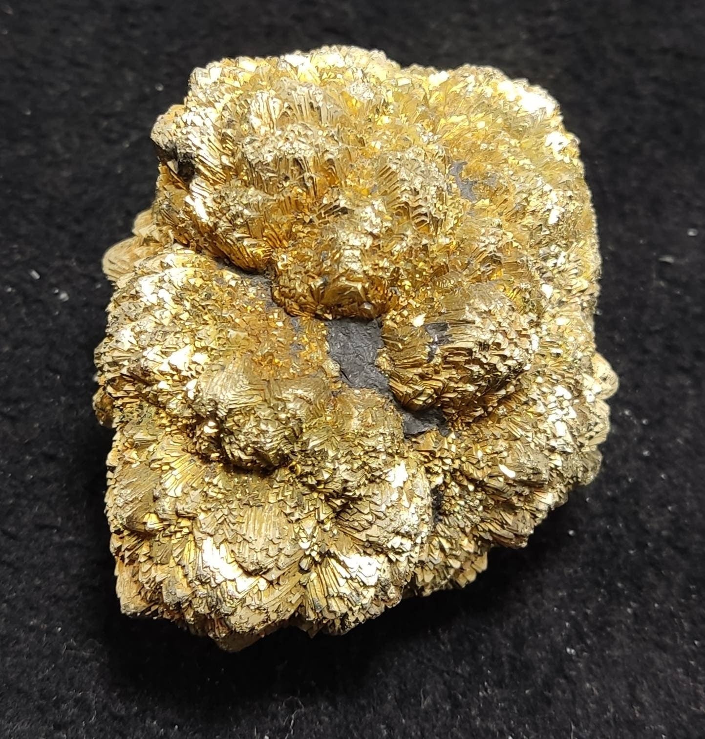 Pyrite/marcasite on co'al 430 grams