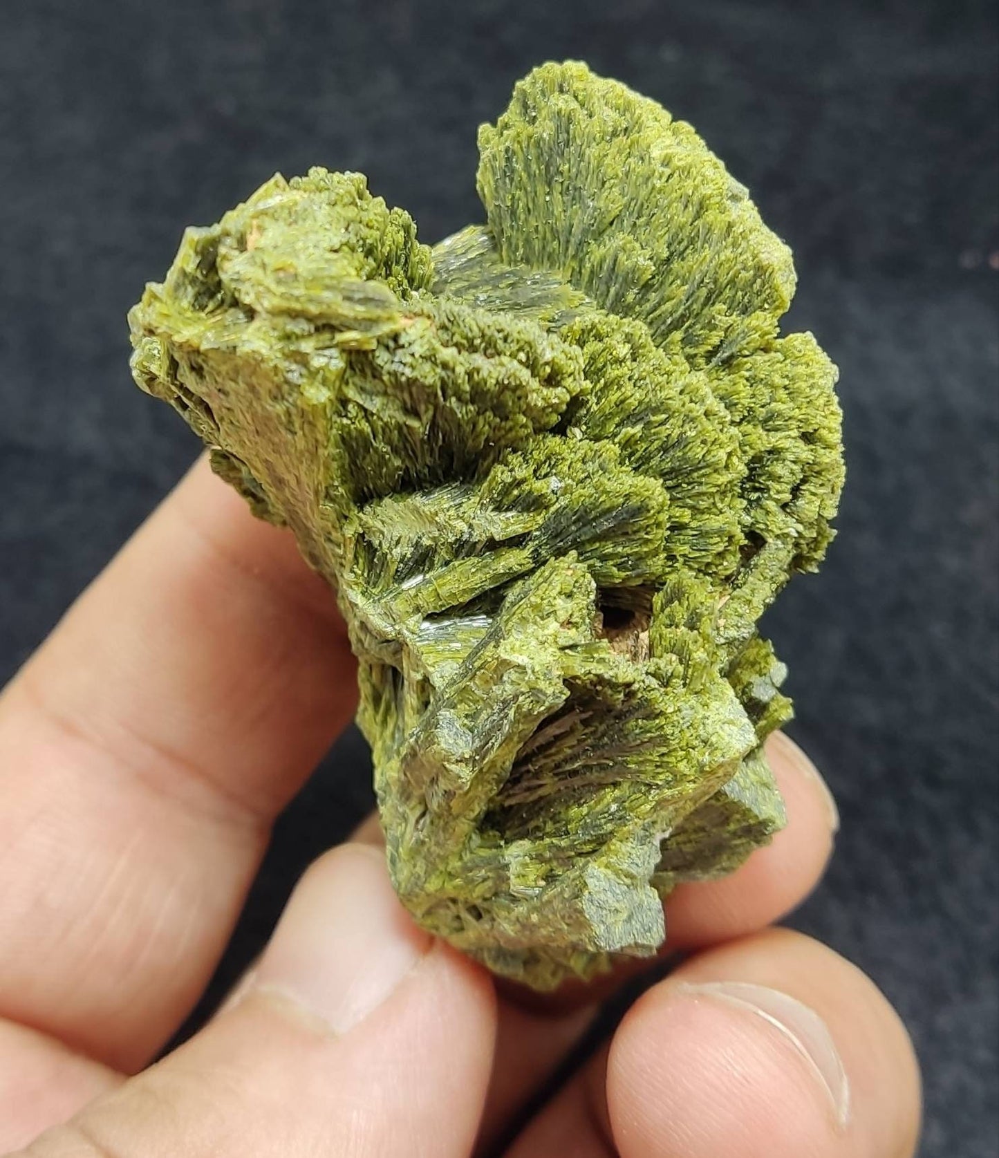 An Amazing specimen of lusterous Epidote cluster 79 grams