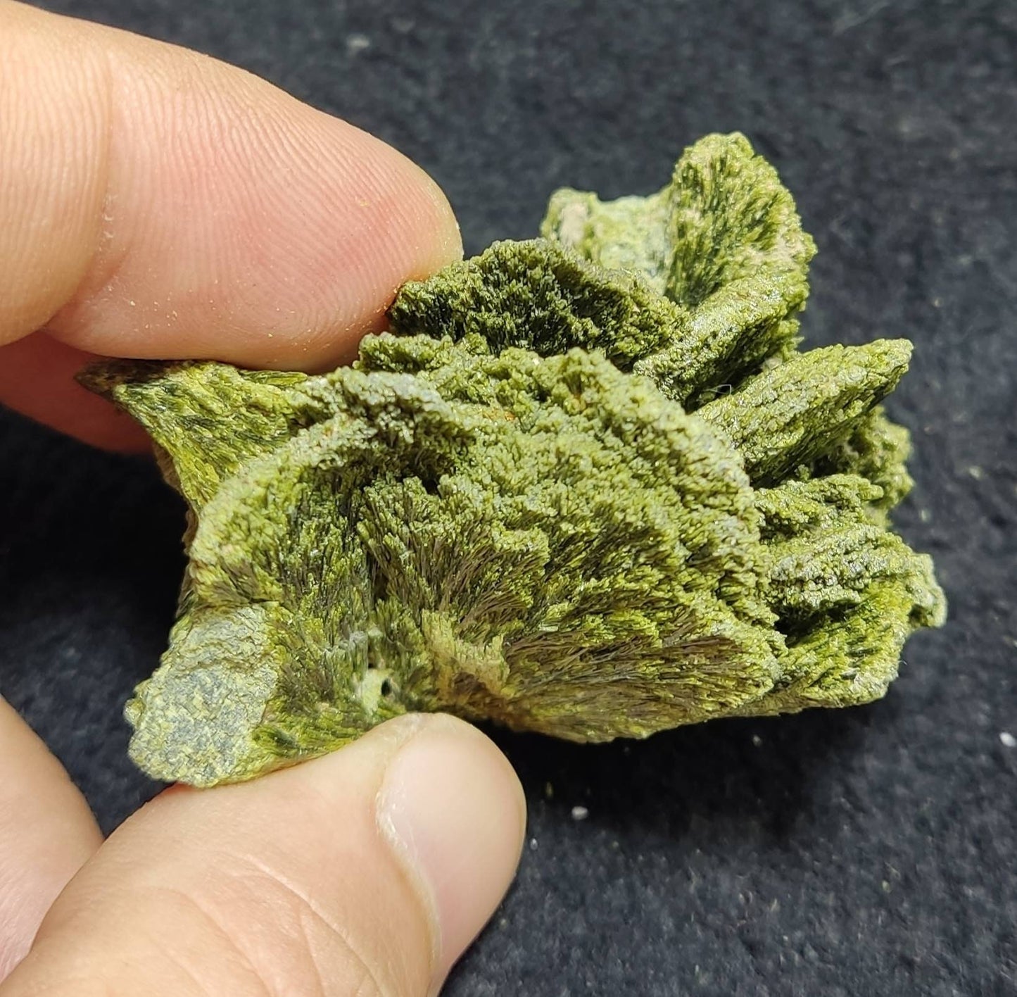 An Amazing specimen of lusterous Epidote cluster 99 grams