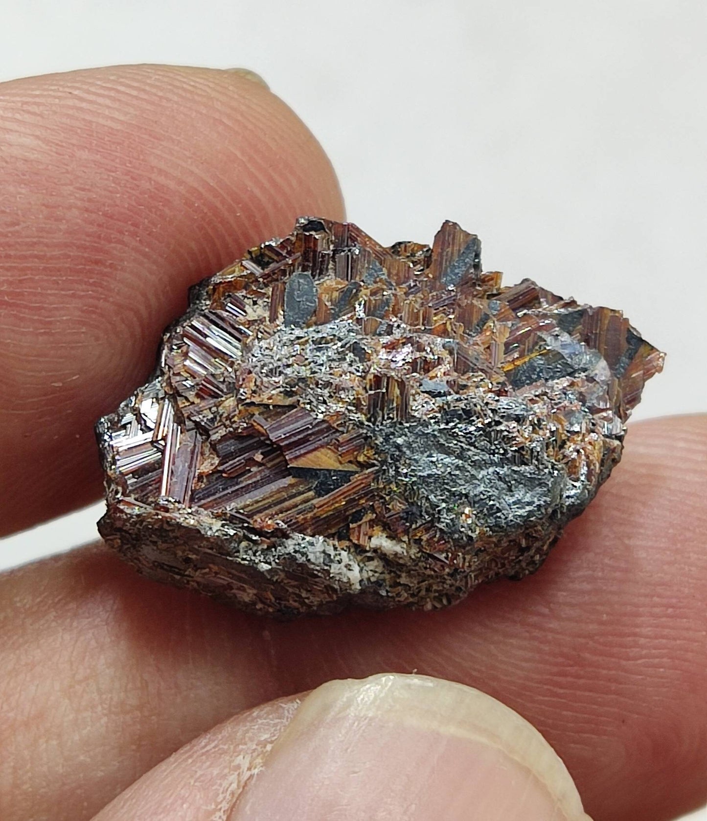 An amazing lot of 3 specimen of rutile variety saginite on hematite