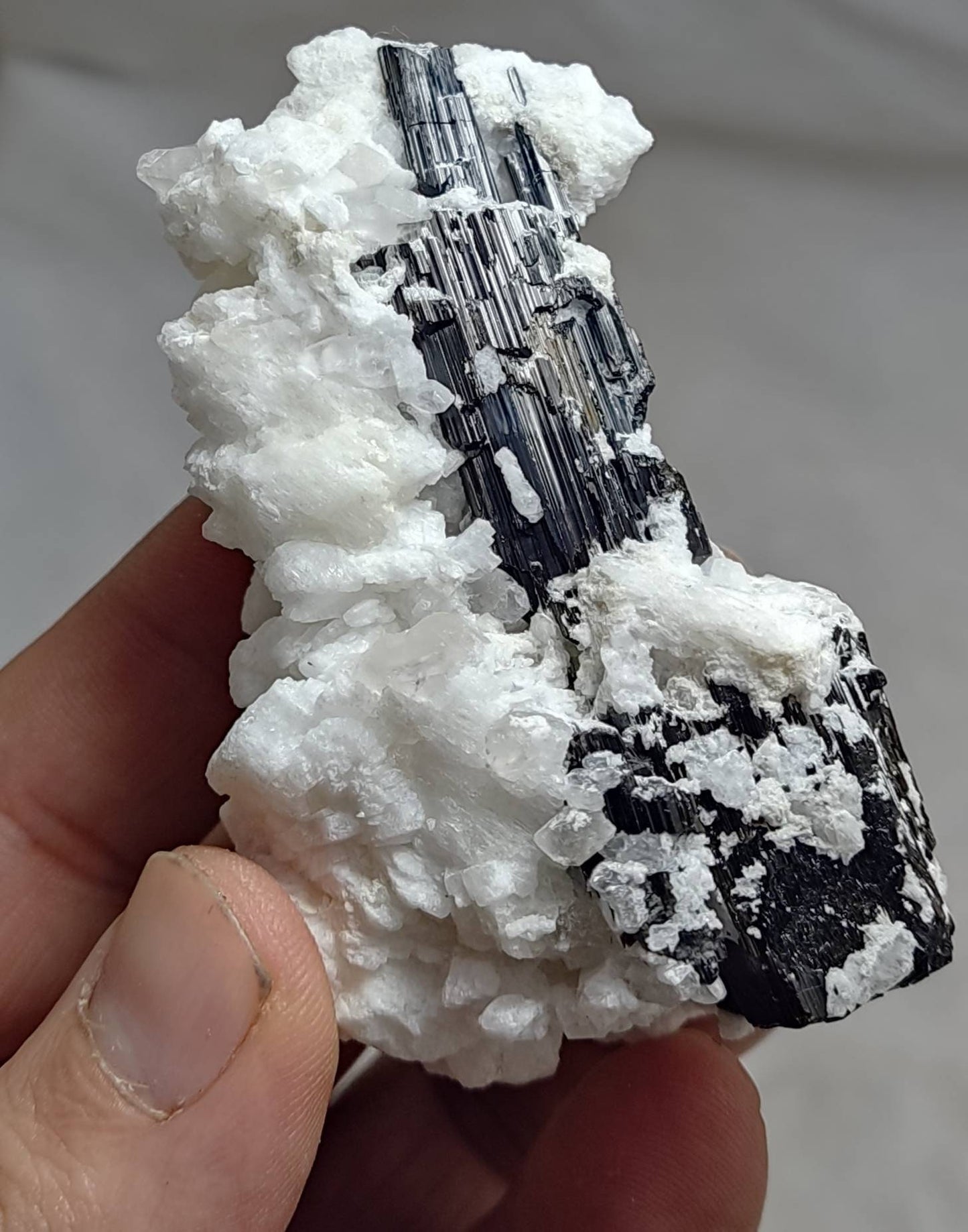 An aesthetic Specimen black tourmaline crystal with albite/feldspar  103 grams