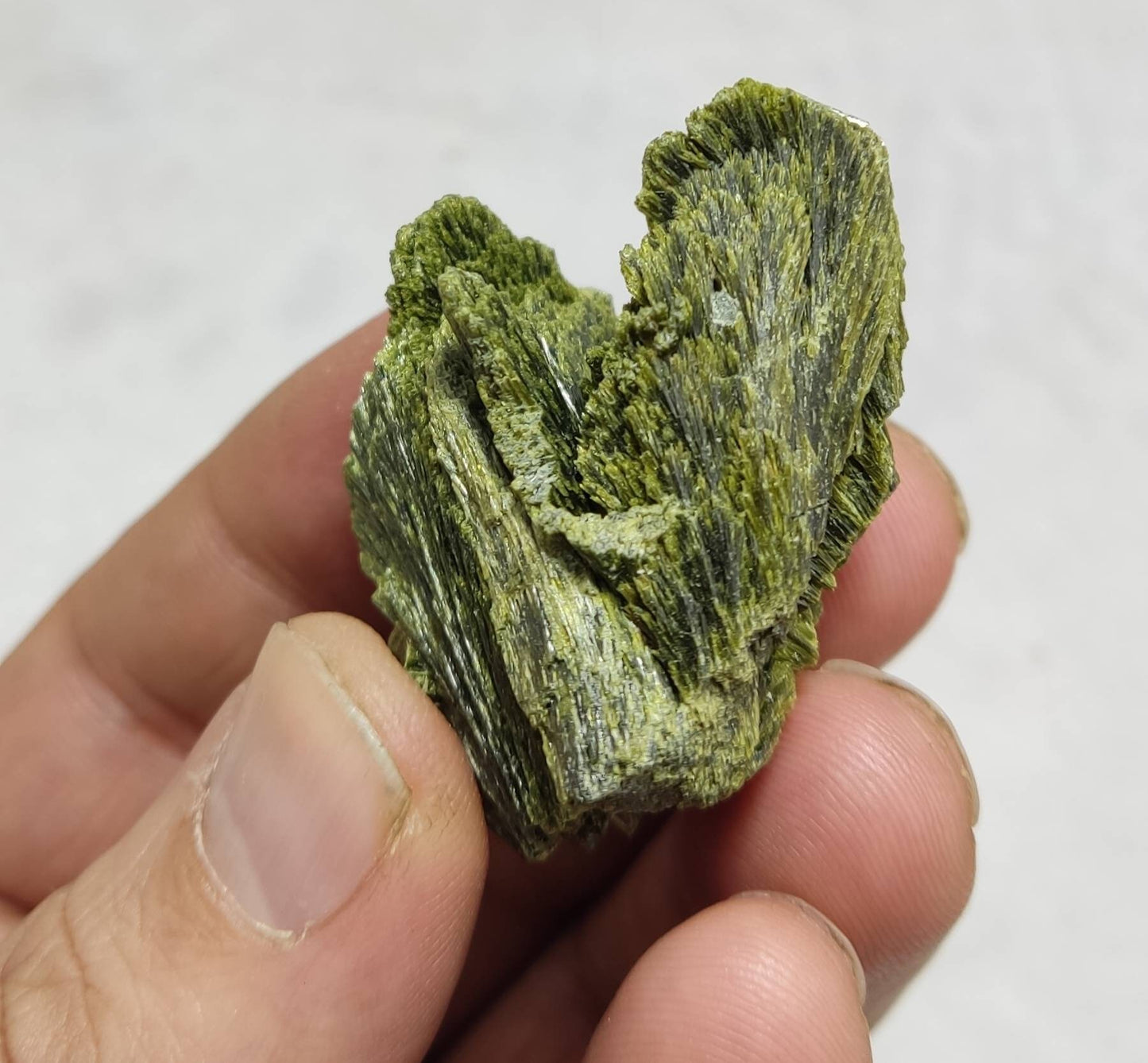 Crystal specimen of Epidote 41 grams