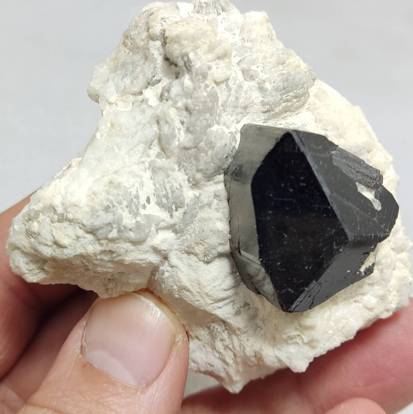 Natural black Tourmaline crystal on matrix with albite 179 grams