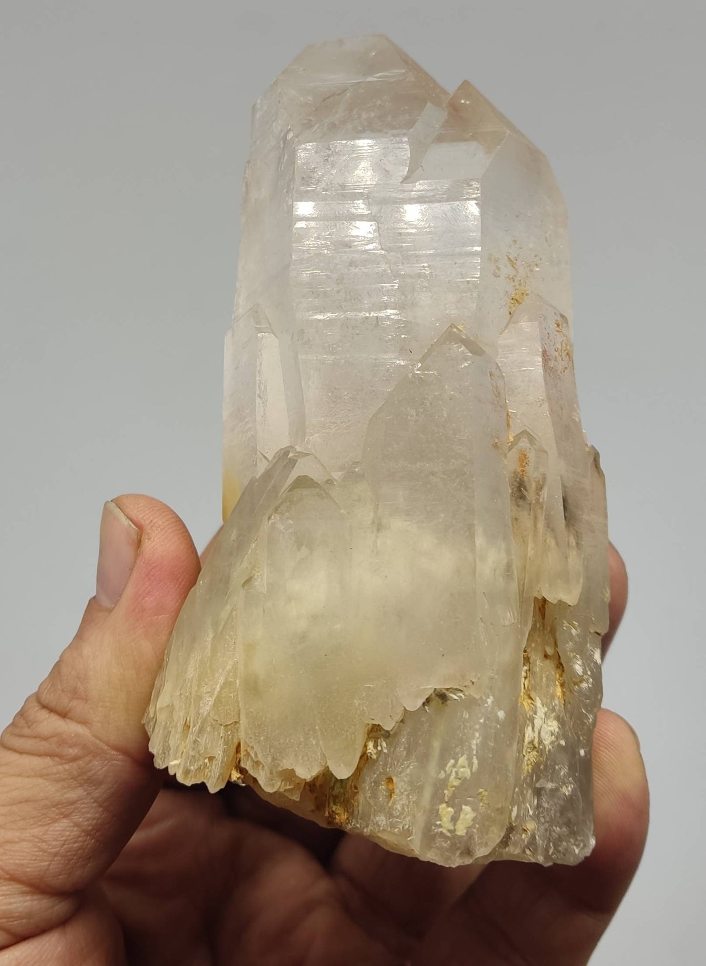 Terminated Quartz crystal having amphibole inclusions 413 grams