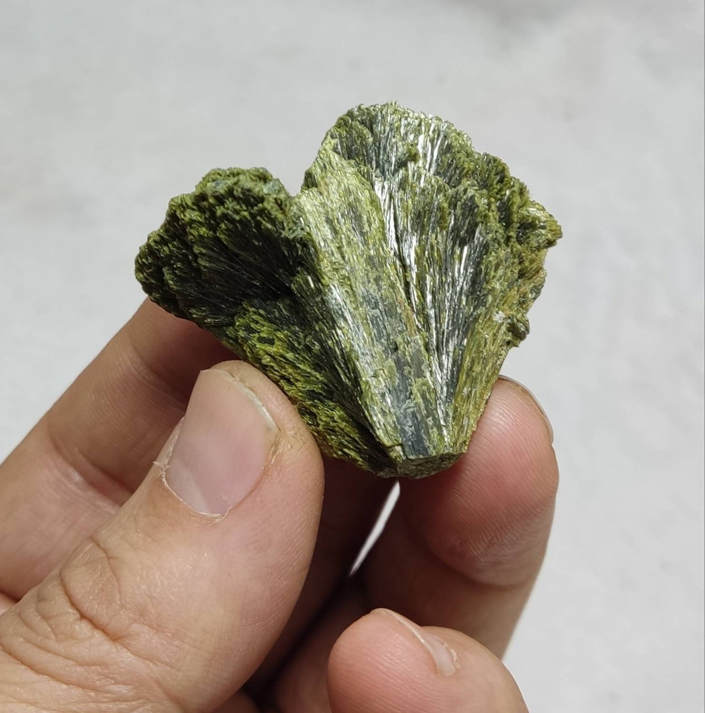 Crystal specimen of Epidote 29 grams