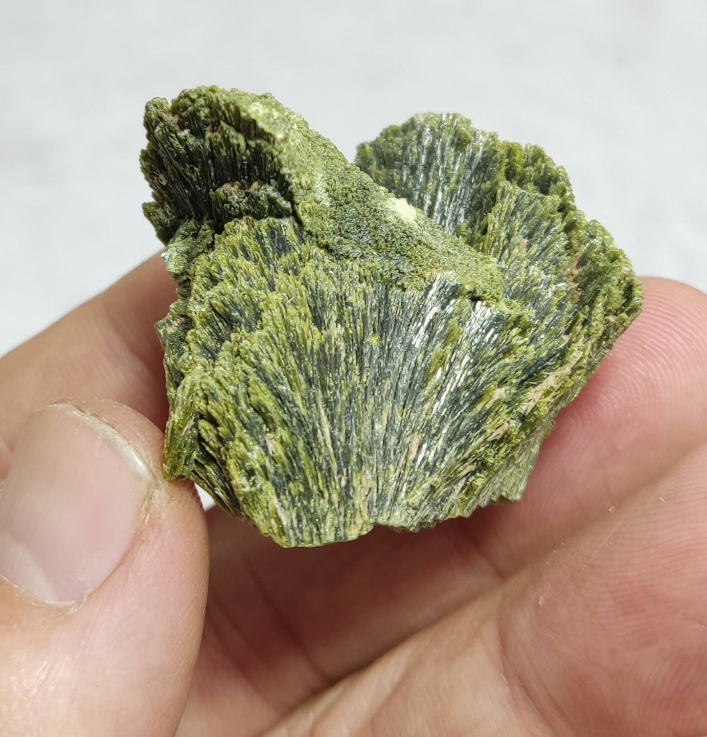 Crystal specimen of Epidote 34 grams