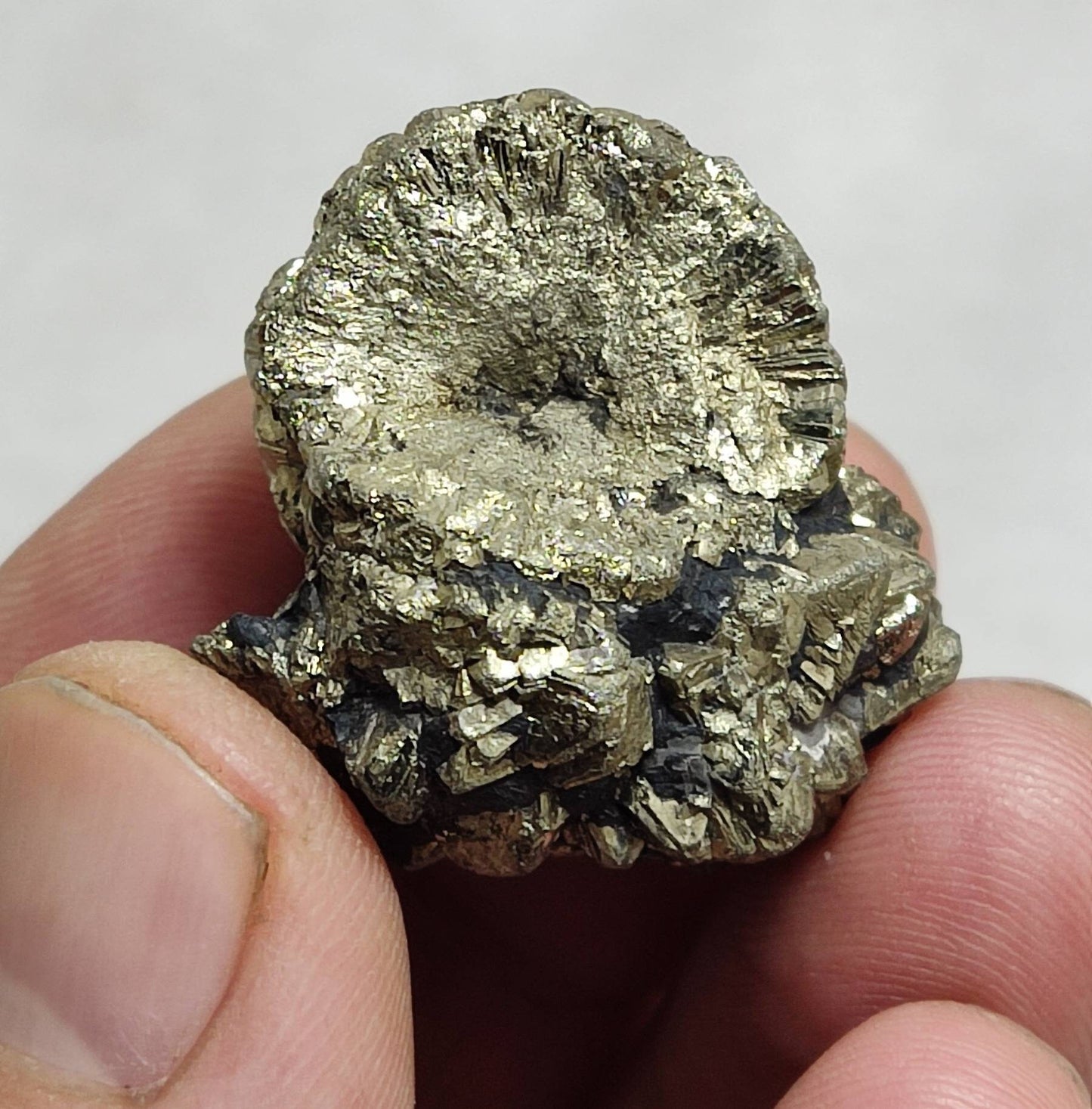 An amazing lot of pyrite/marcasite specimen 3 pieces collective weight 79 grams