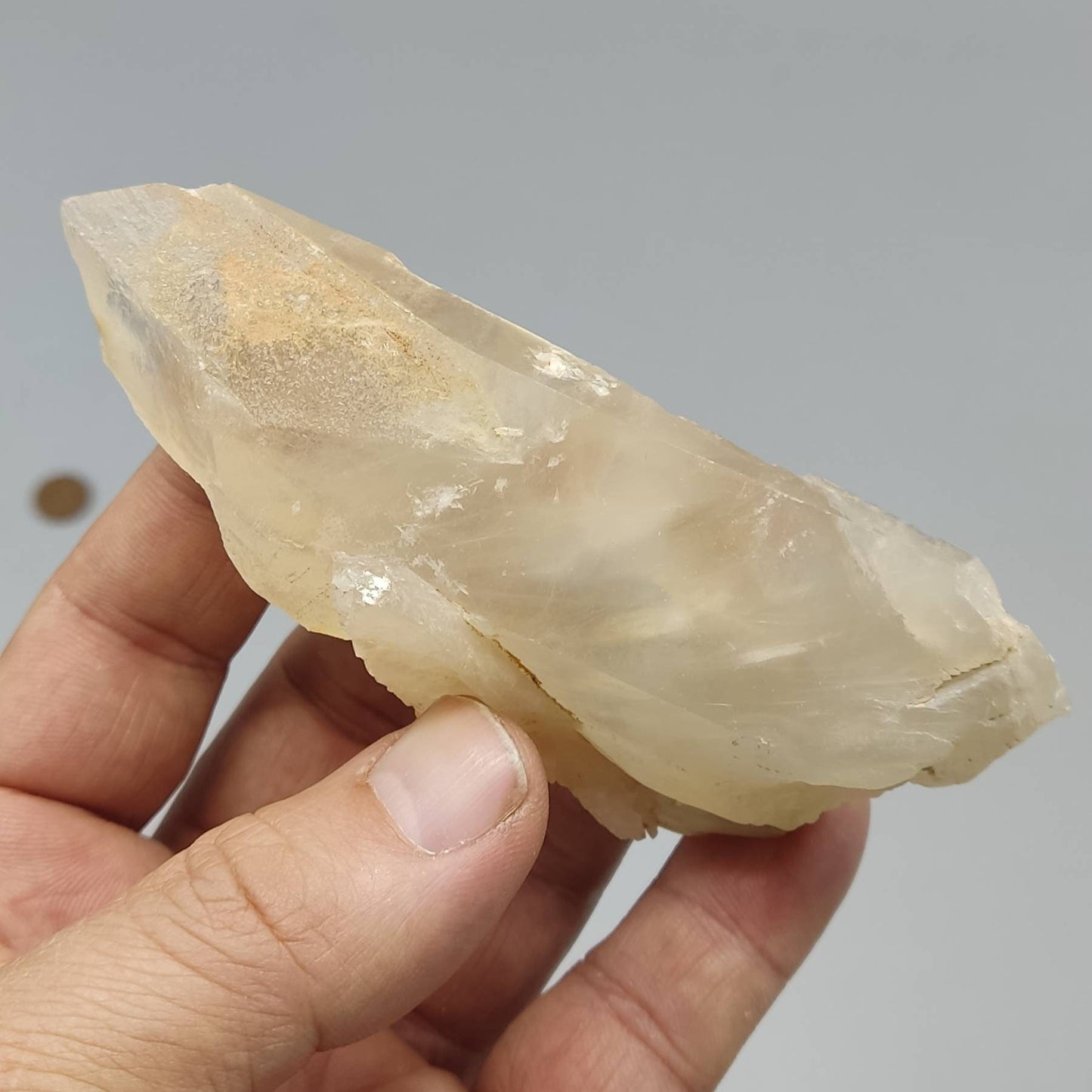 Natural Terminated Quartz crystal having amphibole inclusions 137 grams